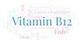 Vitamin B12 word cloud. Royalty Free Stock Photo
