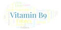 Vitamin B9 word cloud. Royalty Free Stock Photo