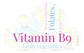 Vitamin B9 word cloud. Royalty Free Stock Photo