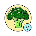 vitamin broccoli color icon vector illustration