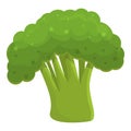 Vitamin broccoli icon, cartoon style