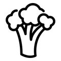 Vitamin broccoli icon, outline style