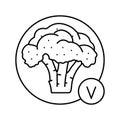 vitamin broccoli line icon vector illustration