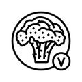 vitamin broccoli line icon vector illustration