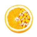 Vitamin C as Orange Fruit Royalty Free Stock Photo