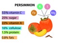 Vitamin C content in the most common fruit. A visual schedule.
