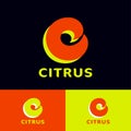 Citrus Logo. Vitamin C icon. Letter C consist of yellow and Orange curled elements.