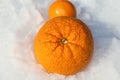 Vitamin C- Oranges and cold and flu season story Royalty Free Stock Photo