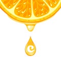 Vitamin C. Drop of orange fruit serum or oil drips from citrus slice.