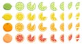 Vitamin C. Set of vector elements. Bright fresh ripe juicy whole and cut citrus fruit and slices isolated on white Royalty Free Stock Photo