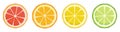 Vitamin C. Set of vector isolated elements. Bright fresh ripe juicy grapefruit orange lemon lime slices isolated on a Royalty Free Stock Photo