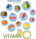 Vitamin C sources. Fruits and berries set. In fizzy drink hand drawn concept. Black currant, guava, kakadu plum, acerola