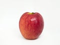 Red apple isolated on white background, close up apple, Ripe apple Royalty Free Stock Photo