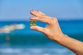 Vitamin D, capsule with fish oil in hand close-up, blue sky sea background Royalty Free Stock Photo