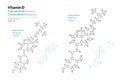 Vitamin D2, D3. Ergocalciferol and Cholecalciferol. Structural Chemical Formula and Line Model of Molecule. Vector