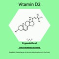 Vitamin D2. Ergocalciferol Molecular chemical formula. Useful properties of vitamin. Infographics. Vector illustration