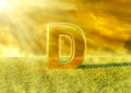 Vitamin D illuminated by the rays of the sun on grass. Sunlight is an excellent source of this nutrient that strengthens the