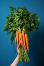 Vitamin diet fresh vegetarian agriculture organic vegetables healthy raw carrots orange bunch food Royalty Free Stock Photo