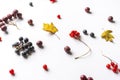 vitamin dietconcept, flat lay of the various cherry dropped on the table Royalty Free Stock Photo