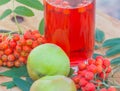 Summer healing drink, apples and berry of the mountain ash.