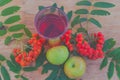 Vitamin drink, apples and berry of the mountain ash.