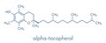 Vitamin E alpha tocopherol molecule. Skeletal formula.