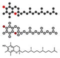 Vitamin E alpha tocopherol molecule. Stylized 2D rendering and conventional skeletal formula. Royalty Free Stock Photo