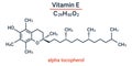 Vitamin E - alpha tocopherol. Vector illustration of a substance chemical formula for medical articles, pill design. Structure of