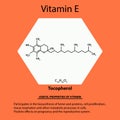 Vitamin E. Tocopherol Molecular chemical formula. Useful properties of vitamin. Infographics. Vector illustration on
