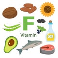 Vitamin F and vector set of vitamin F rich foods. Healthy lifestyle and diet concept