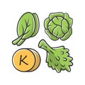 Vitamin K green color icon. Edible greens and cabbage. Healthy food. Minerals, antioxidants natural source. Proper Royalty Free Stock Photo