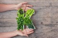 Vitamin K nutrient in food concept. Woman`s hands holding letter K shaped plate with different fresh leafy green vegetables, herb