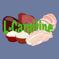 Vitamin L-Carnitine healthy nutrient rich food vector illustration