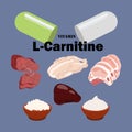 Vitamin L-Carnitine healthy nutrient rich food vector illustration