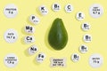Vitamin and mineral composition in avocado Royalty Free Stock Photo
