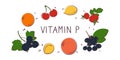 Vitamin P bioflavonoids. Groups of healthy products containing vitamins and minerals. Set of fruits, vegetables, meats