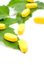 Vitamin pills over green leaves