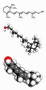 Vitamin A (retinol), molecular model. Atoms are represented as spheres with conventional color coding: hydrogen (white), carbon ( Royalty Free Stock Photo