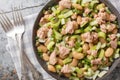 Vitamin Salad of canned tuna, butter beans, fresh celery, green onions and capers close-up in a plate. Horizontal top view Royalty Free Stock Photo