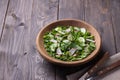 Vitamin salad of wild herbs with cucumber, radish and green onions Royalty Free Stock Photo