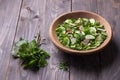 Vitamin salad of wild herbs with cucumber, radish and green onions Royalty Free Stock Photo