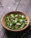 Vitamin salad of wild herbs with cucumber, radish and green onions Royalty Free Stock Photo