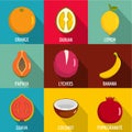 Vitamine in fruct icons set, flat style Royalty Free Stock Photo