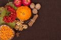 Vitamins Of Autumn. Berries And Leaves Of Viburnum, Sea Buckthorn, Pumpkin, Walnuts, Red Apples, Cinnamon And Anise On A Brown Fab