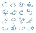 Vitamins icons