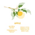 Vitamins, minerals and calorie content. Information about nutrition facts apple fruit. Conceptual healthy nutrition card