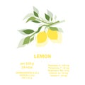 Vitamins, minerals and calorie content. Information about nutrition facts lemon fruit. Conceptual healthy nutrition card