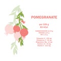 Vitamins, minerals and calorie content about nutrition facts pomegranate fruit. Conceptual healthy nutrition card