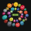 Vitamins and minerals. circular scheme