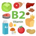 Vitamins and Minerals foods Illustrator set 7.Vector set of vitamin rich foods. Vitamin B2-milk, egg, spinach, oysters